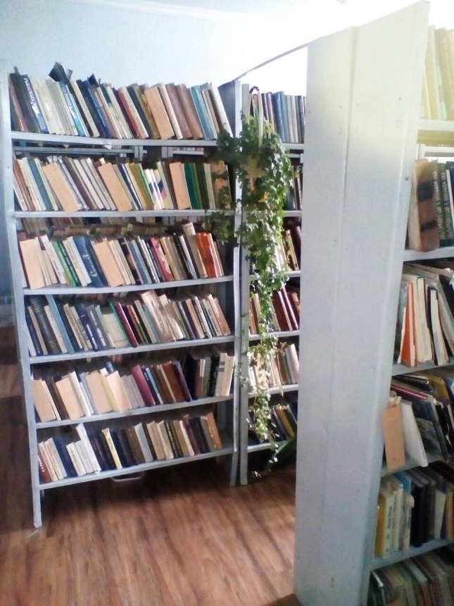 Լճաշեն գյուղի գրադարան 3