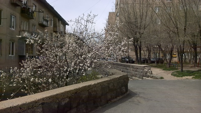 Drakhtik village library 8